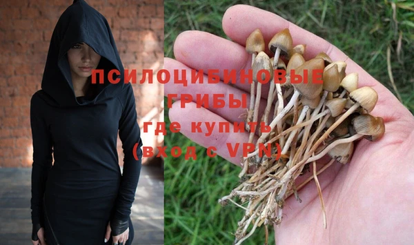 Альфа ПВП Ладушкин