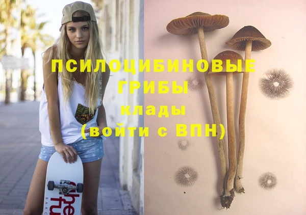 дурь Лагань